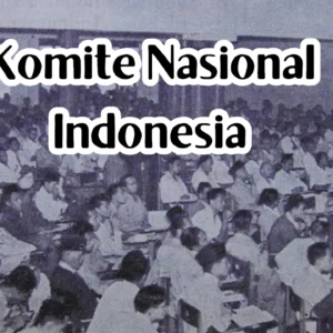 Komite Nasional Indonesia, Inilah Beberapa Fakta Menarik Tentangnya