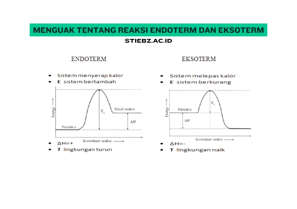 Reaksi-Endoterm-dan-Eksoterm