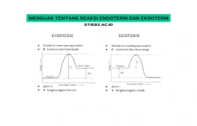 Reaksi-Endoterm-dan-Eksoterm
