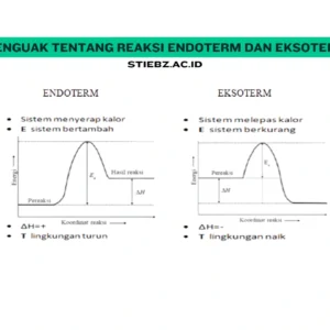 Menguak Tentang Reaksi Endoterm dan Eksoterm