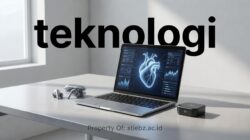 Panduan Praktis Pakai Teknologi Wearable untuk Pantau Kesehatan