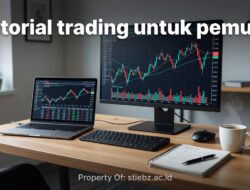 Review Jujur 5 Platform Trading Terbaik untuk Pemula 2024