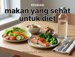 Review Jujur: Pola Makan Diet yang Benar-Benar Efektif vs Hype